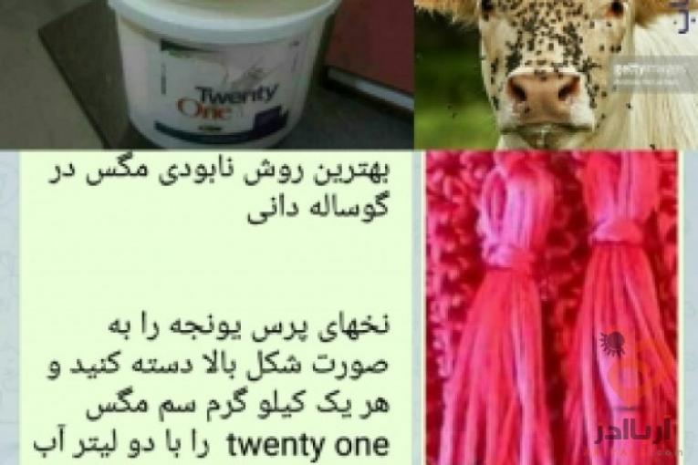 مگس کش twenty one کشنده مگس در ۱۰ ثانیه