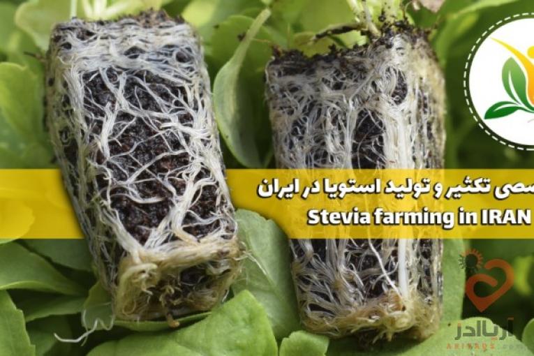 تولید کننده انواع گیاهان دارویی