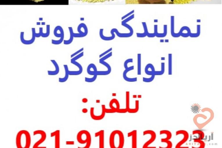 فروش گوگرد صادراتی با قیمتی عالی