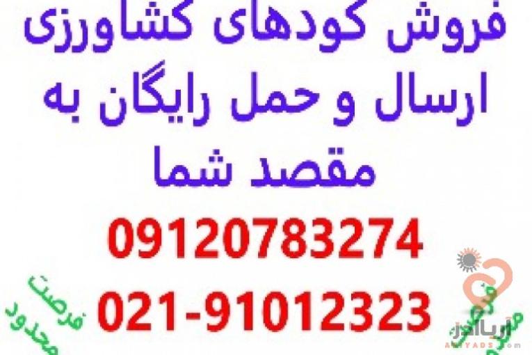 فروش کود با ارسال رایگان به مقصد شما - خرید کود