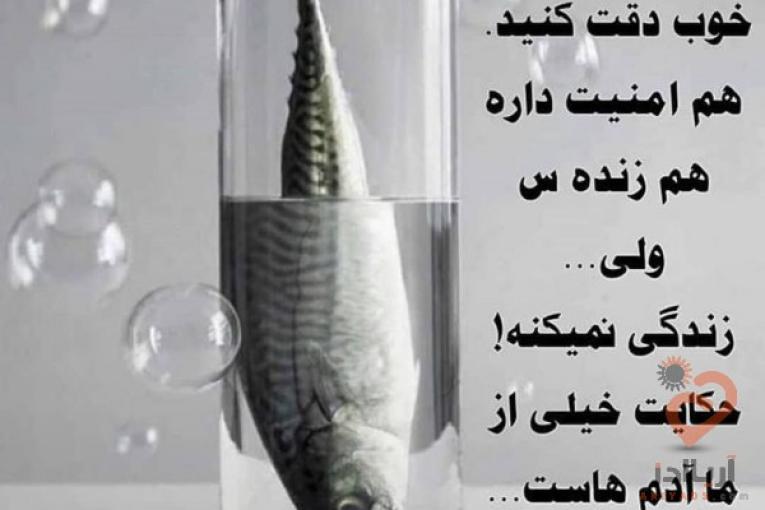 کار مجازی و پاره وقت