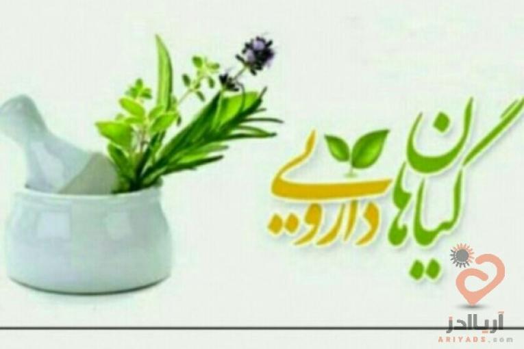 کانال گیاهان دارویی