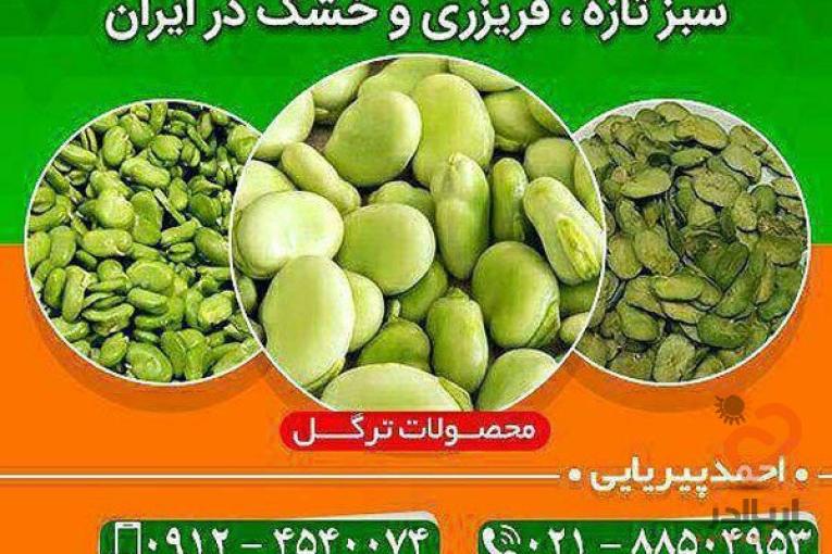 باقالی سبز خشک ، باقالی سبز تازه ، باقالی سبز منجمد
