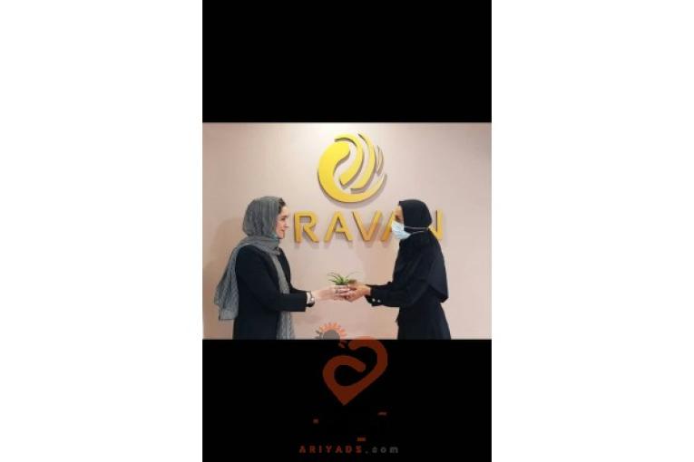 طراحی سایت و اپلیکیشن طراوان