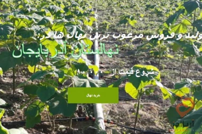 نهالستان آذربایجان
