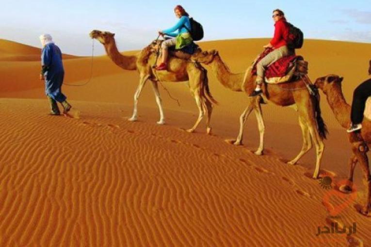 تور کویر مصروحیدنفوذی