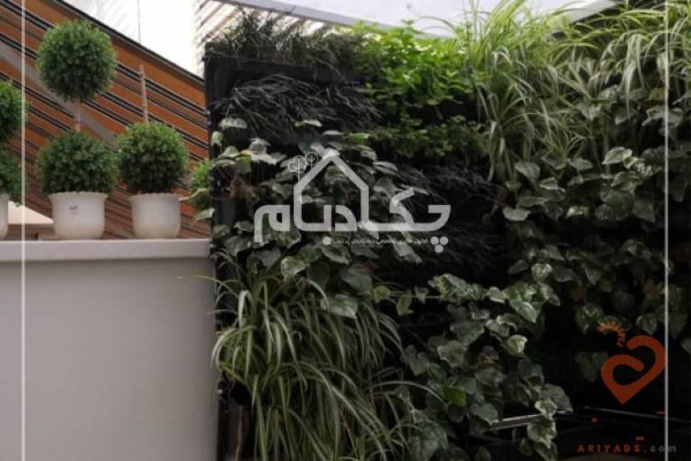 طراحی، تولید، اجرای صنعتی روف گاردن – بام سبز – دیوار سبز