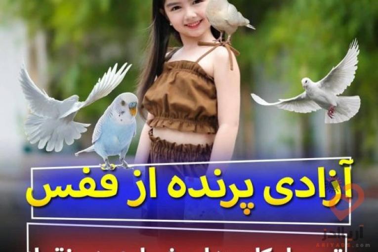 تحویل کادو و آزاد کردن پرنده 