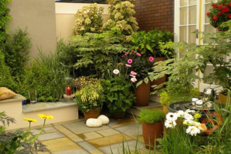 فروشگاه اینترنتی گل و گیاه