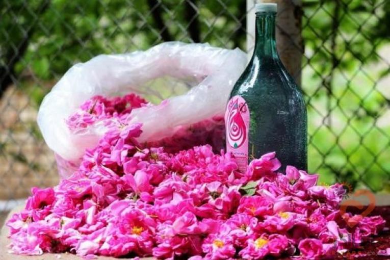 گلاب و عرقیات عمده کاشان