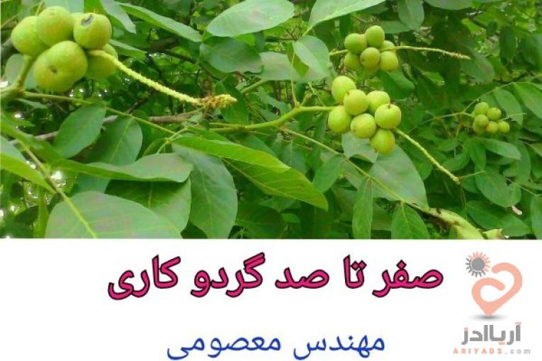 درآمد میلیاردی از باغداری