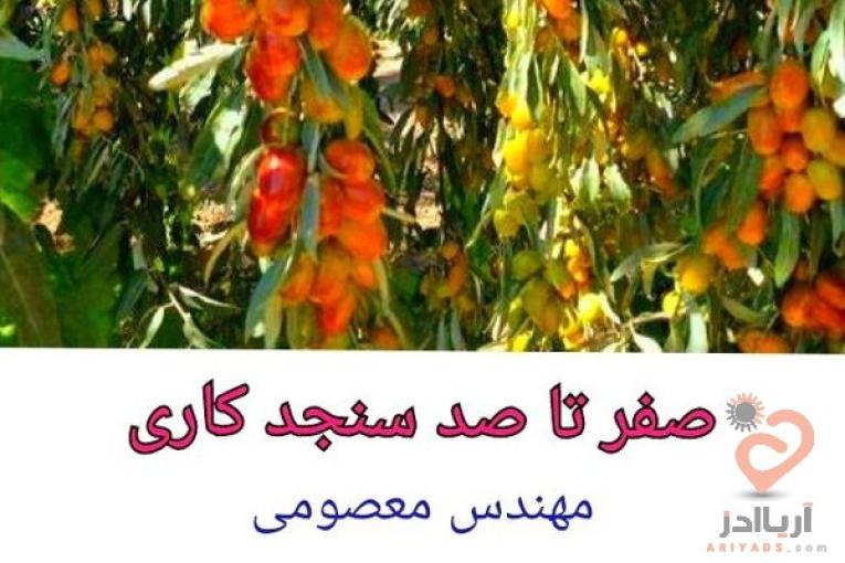 درآمد میلیاردی از باغداری