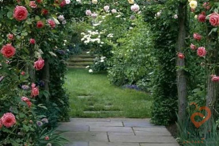 ساخت وطراحی وایجادفضای سبزبازسازی ویلا استخر آلاچیق آبنما  طراحی وایجاد فضای سبز به همراه نگهداری وایجاد باغ وباغچه