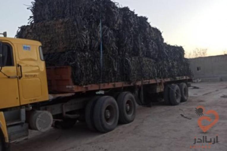 خریدار ضایعات نوار آبیاری تیپ زنده وآسیابی(پوشال)