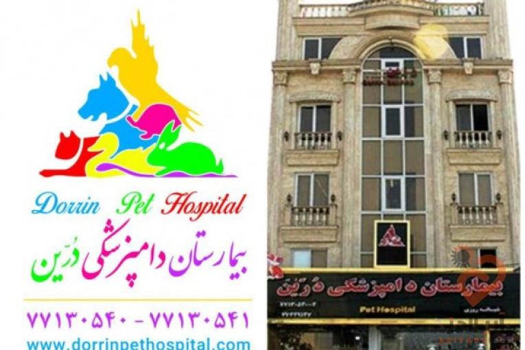 بیمارستان دامپزشکی و پت شاپ شبانه روزی حیوانات خانگی و پرندگان درین