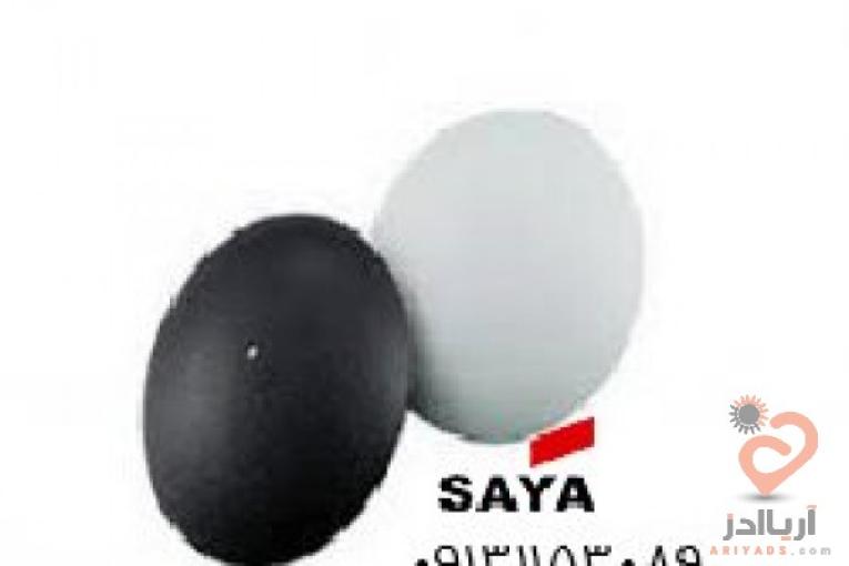 عرضه تگ صدفیAM   