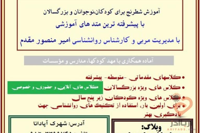 تدریس شطرنج آنلاین،خصوصی،حضوری و عمومی