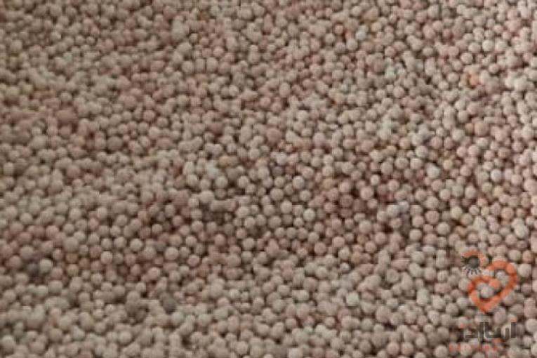 مولکولارسیو A3 و اکتیو آلومینا