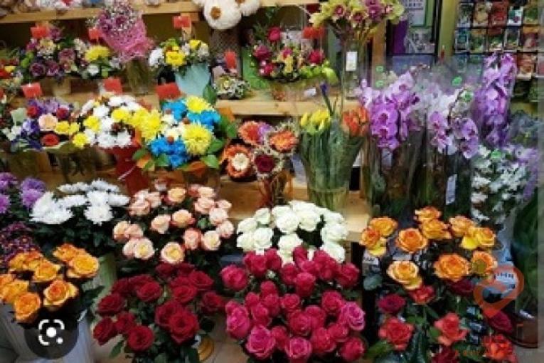 پیش فروش غرفه های 18 متری بازار گل و گیاه (عباس آباد)