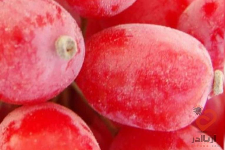 فروش عمده زرشک و ارسال به سراسر ایران