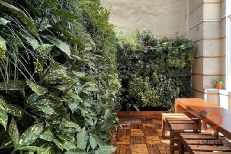 دیوار سبز حرفه ای – گرین وال
