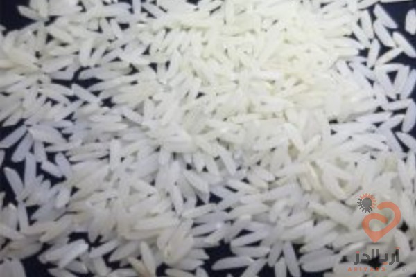 برنج خرید برنج از سراسر استان گیلان