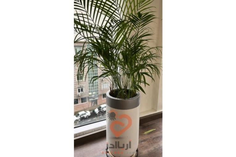 باغبانی و فضای سبز 