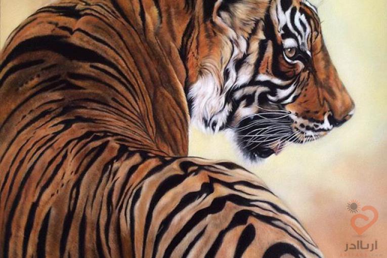 آموزشگاه طراحی، نقاشی، خوشنویسی و مجسمه سازی