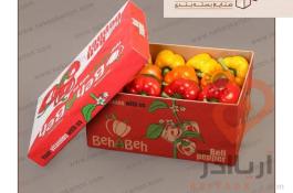 تولید کارتن صادراتی