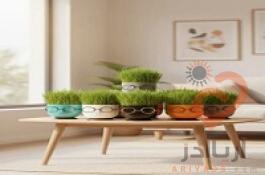 تولید کننده انواع گلدان پلاستیکی گرد مشکی + فروش عمده