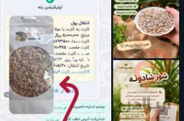 آجیل وخشکبارتنقلات سالم