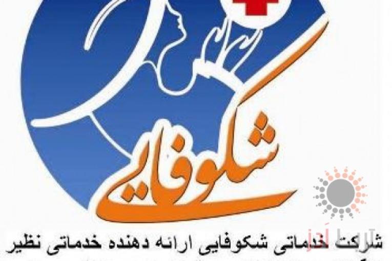 شرکت خدماتی پرستاری  شکوفایی