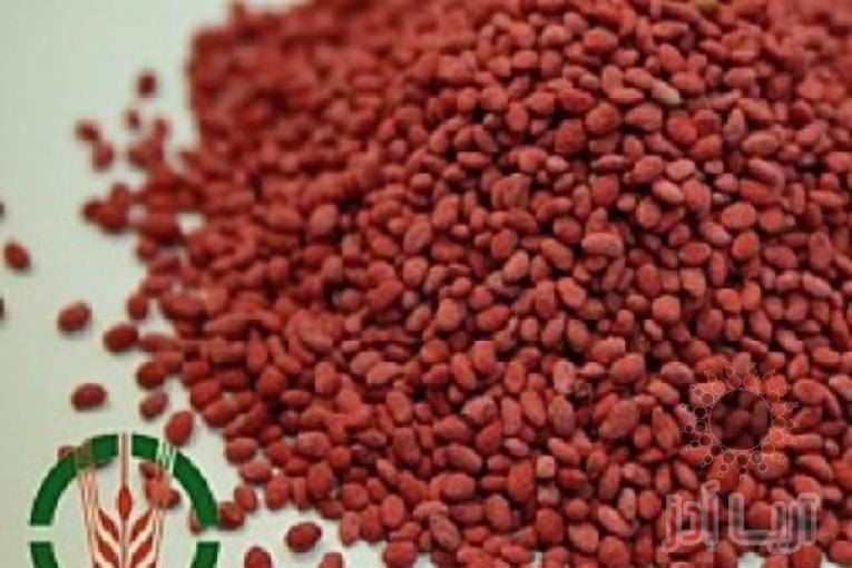 بذر یونجه پوشش دار